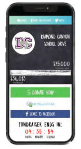 Vertical Raise online fundraising on a phone